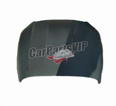 CN15-161E46-A-PIA-05, Engine Hood for Ford, Ford Ecosport 2013 Hood