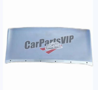 DV45-17F771-A, Lower Guard Plate of Front Bumper for Ford, Ford Kuga 2013 Lower Guard Plate