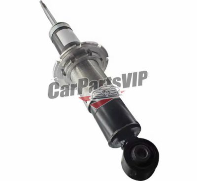 212509, Rear Left and Right Shock Absorber for Ferrari, Ferrari 599 Rear Left and Right Shock Absorber