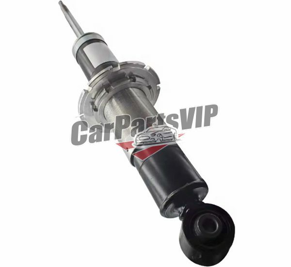 212509, Rear Left and Right Shock Absorber for Ferrari, Ferrari 599 Rear Left and Right Shock Absorber