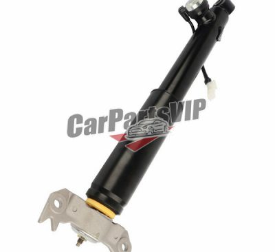 22834093, 22834092, Rear Left / Right Suspension Shock Absorber for Buick Regal, Buick LaCrosse / Buick Regal Rear Left / Right Suspension Shock Absorber 2009-2015