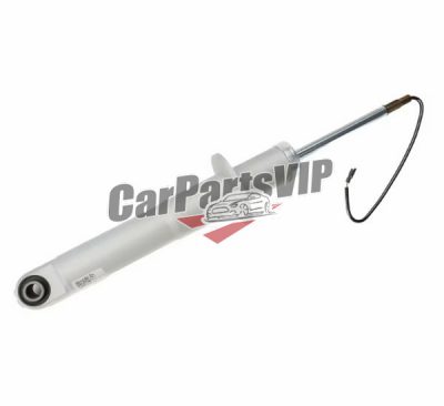 248256, Rear Left and Right Shock Absorber for Maserati, Maserati Quattroporte Rear Left and Right Shock Absorber 2007-2011