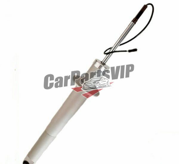 286946, Rear Left and Right Shock Absorber for Maserati, Maserati GranTurismo Rear Left and Right Shock Absorber