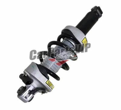 420412019AJ, 420412020AJ, Front Left / Right Shock Absorber for Audi, Audi R8 Front Left /420412019AJ, 420412020AJ, Front Left / Right Shock Absorber for Audi, Audi R8 Front Left / Right Shock Absorber Right Shock Absorber