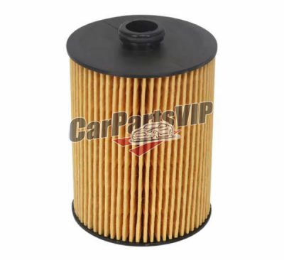 95810722210, Engine Oil Filter for Volkswagen, Volkswagen / Skoda / Porsche Engine Oil Filter